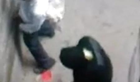 हॉर्नी कोनी ओनली सेक्स फिल्म कार्टर ने उसकी चूत को सहलाया