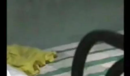 कैफे न सेक्सी पिक्चर बताइए इंग्लिश केवल आइसक्रीम, बल्कि एक सदस्य को चाटने की पेशकश करता है