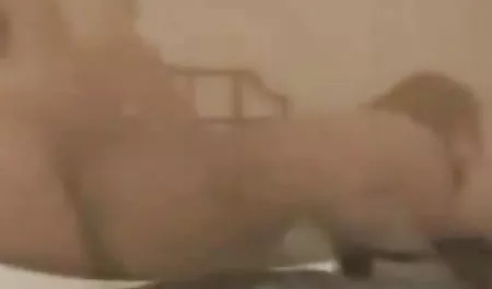 लंपट कुतिया को एक बार में कई पुरुषों द्वारा तोड़ा जाना पसंद है। सड़क से अजनबियों को फुल सेक्सी हिंदी फिल्म खींचते हुए, वह एक क्रस्टेशियन के साथ उठी। मुझे वेश्या को खुश करने की कोशिश करनी होगी