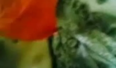 जेसिका को एशियाई लोगों की तुलना हिंदी फुल सेक्सी मूवी में रूसियों का बड़ा लंड पसंद है