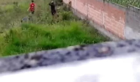 बालों वाली बिल्ली के साथ परिपक्व समलैंगिक युवा सुनहरे हिंदी सेक्सी फिल्म फुल बालों वाली बहकाया
