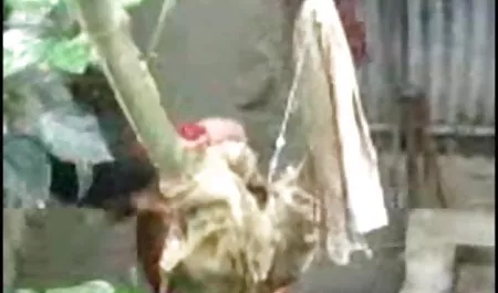 कुतिया मुश्किल से उसे पेटी के रूप सेक्स फिल्म सेक्सी फिल्म सेक्सी फिल्म में वह गड़बड़ कर दिया गया था