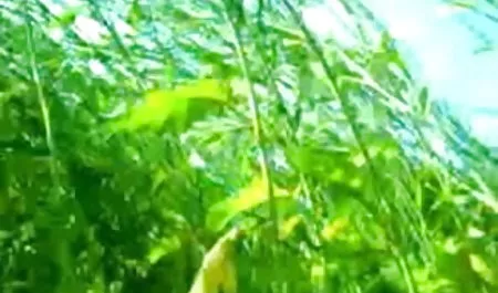 दंपति ने खुद ब्लू वाली सेक्सी को पूरी तरह से फाड़ने के लिए एक कमरा किराए पर लिया