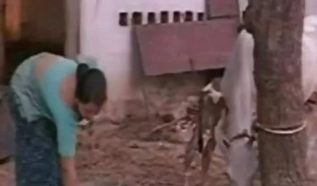 दो भावुक सेक्सी पिक्चर चाहिए ब्लू सेक्सी सेक्सी समलैंगिकों के पास आज मिठाई है