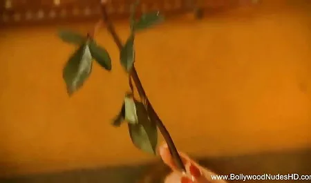 उन्होंने सड़क पर रूसी बफ हिंदी फिल्म सेक्सी वेश्याओं को गोली मार दी और उन्हें गड़बड़ कर दिया