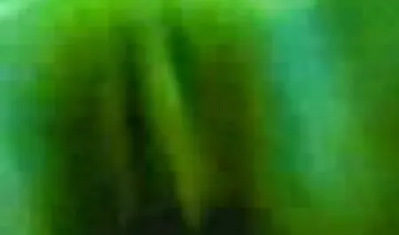 चिकी एक निगा के साथ fucks और मीठे रूप हिंदी सेक्सी फुल मूवी वीडियो से cums