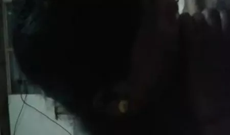 उस आदमी ने अपनी लड़की को चोदा सेक्सी फिल्म दिखाइए सेक्सी और उसकी चूत को स्पर्म से भर दिया