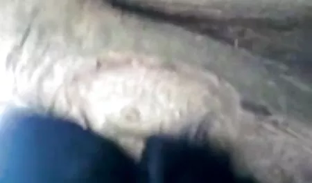 सुंदर शेर एक सेक्स पिक्चर हिंदी युवा लैटिना fucks